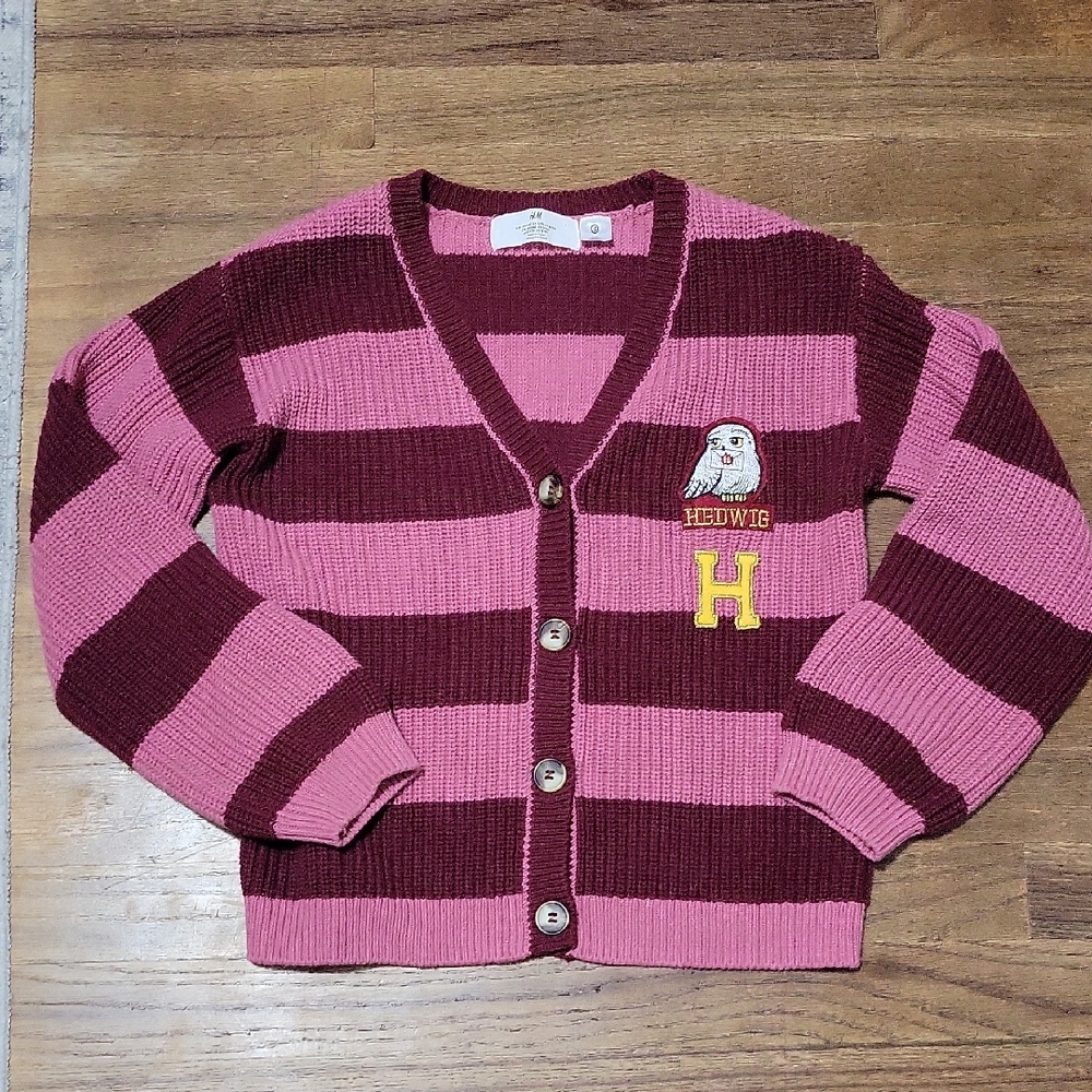 H&M HP Sweater
